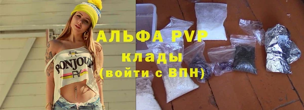 стаф Алексин