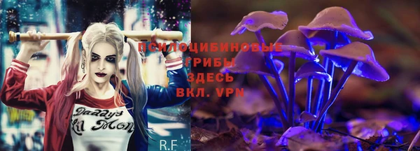 стаф Алексин