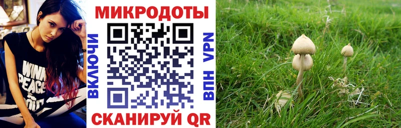 Галлюциногенные грибы Magic Shrooms даркнет сайт Кириши
