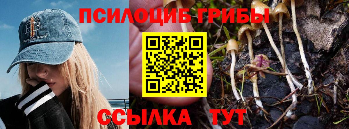Псилоцибиновые грибы мухоморы Кириши
