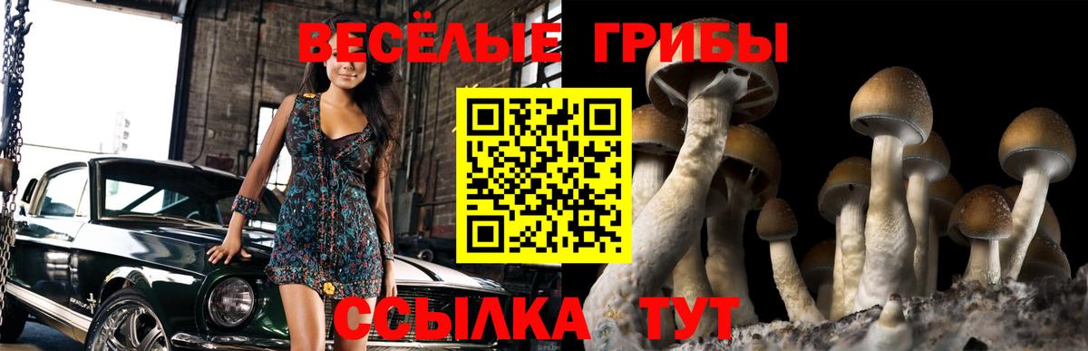 Кириши  Галлюциногенные грибы мицелий  Вход с VPN 