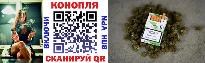 цена наркотик  Кириши  Шишки марихуана AK-47 